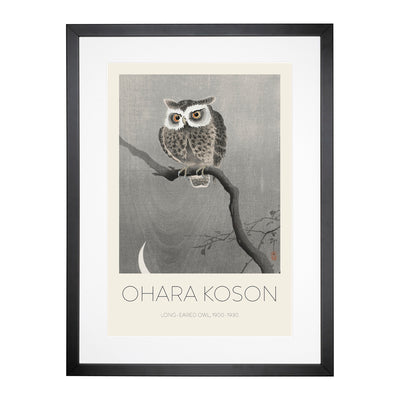 Long Eared Owl Upon A Tree Print By Ohara Koson Framed Print Main Image