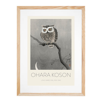 Long Eared Owl Upon A Tree Print By Ohara Koson