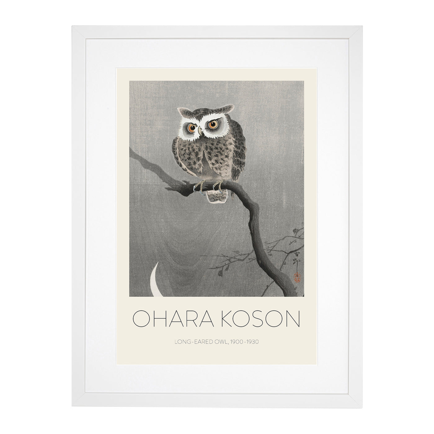 Long Eared Owl Upon A Tree Print By Ohara Koson
