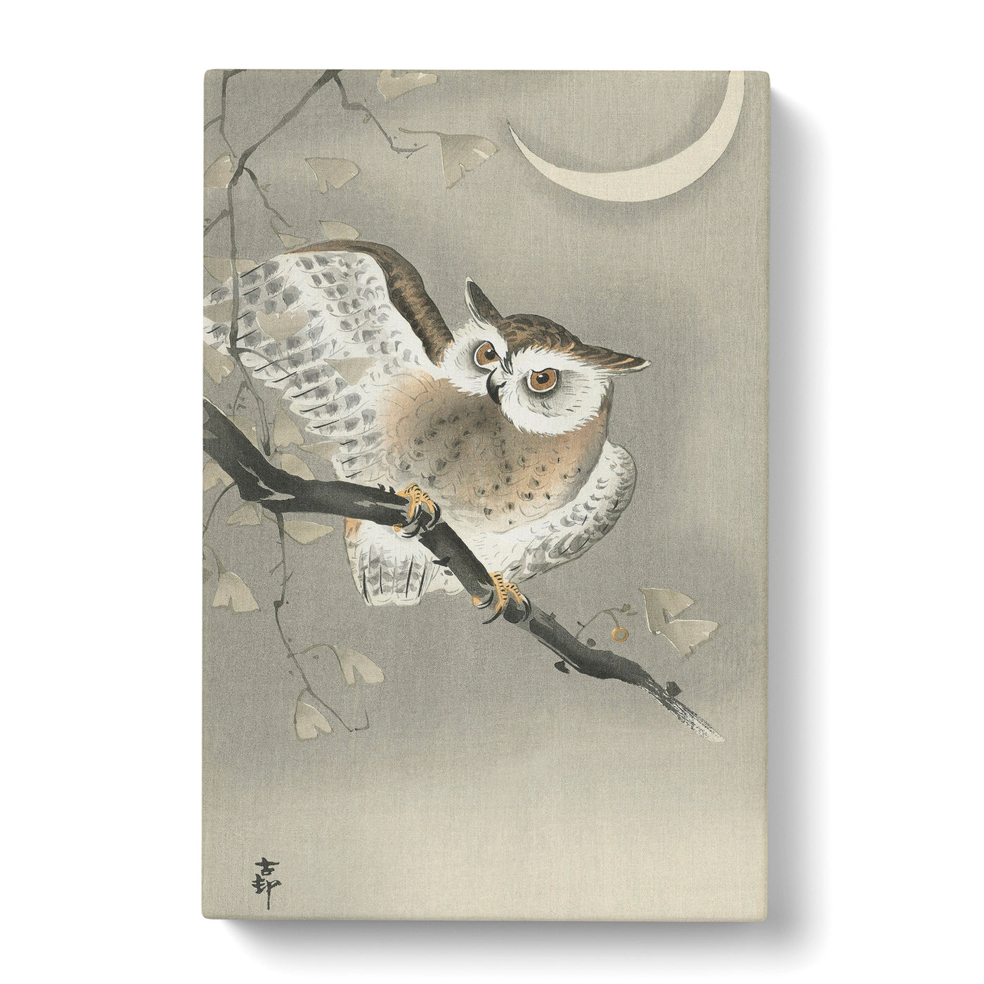 Long Eared Owl By Ohara Kosoncan Canvas Print Main Image