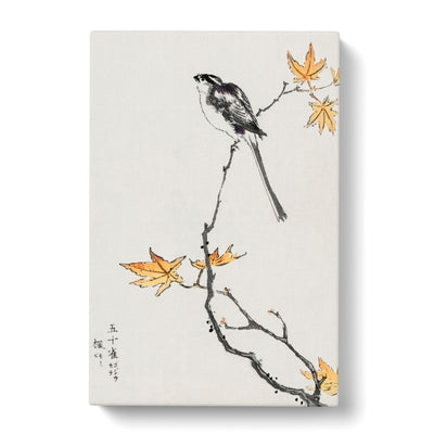 Long Tailed Tit & Maple Tree By Numata Kashu Canvas Print Main Image