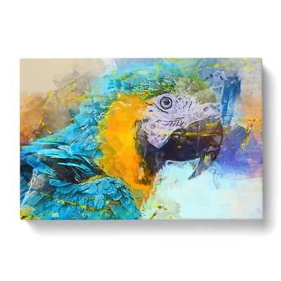 Macaw Parrot In Abstract Canvas Print Main Image