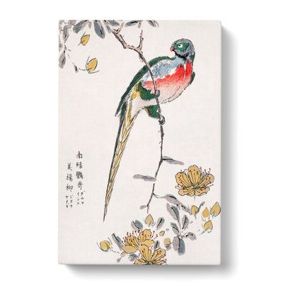 Macaw & Drooping Peach By Numata Kashu Canvas Print Main Image
