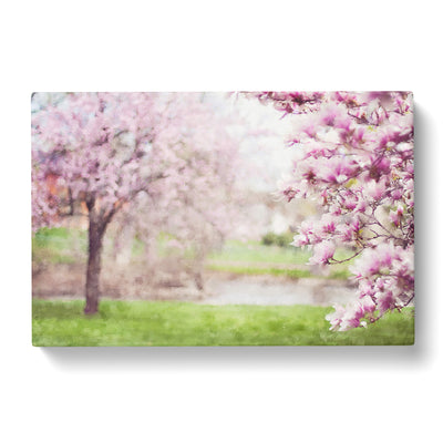 Magnolia Blossom Trees Painting Canvas Print Main Image