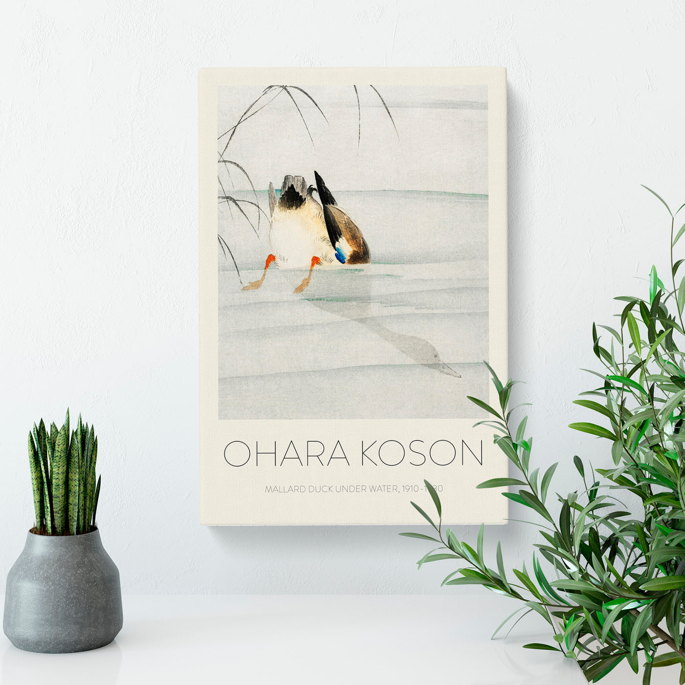 Mallard Duck Under Water Print By Ohara Koson
