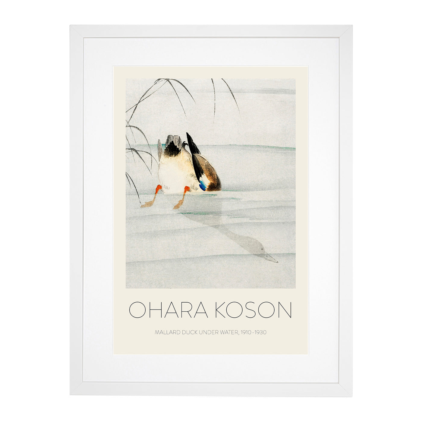 Mallard Duck Under Water Print By Ohara Koson