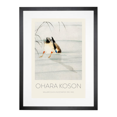 Mallard Duck Under Water Print By Ohara Koson Framed Print Main Image