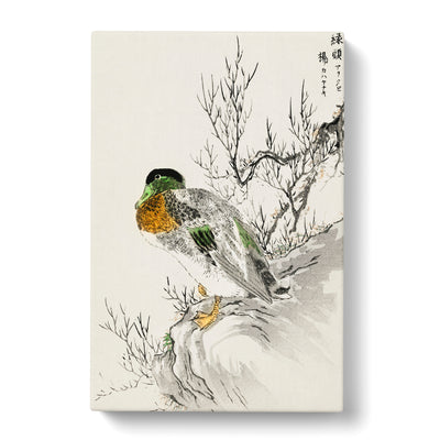 Mallard Duck & Willow By Numata Kashu Canvas Print Main Image
