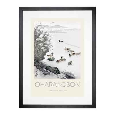 Mallard Ducks In The Water Print By Ohara Koson Framed Print Main Image