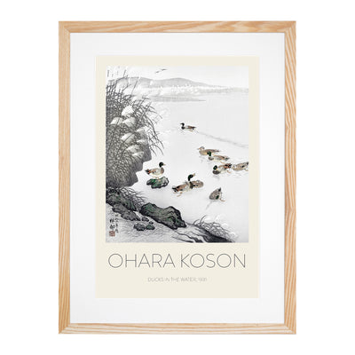 Mallard Ducks In The Water Print By Ohara Koson