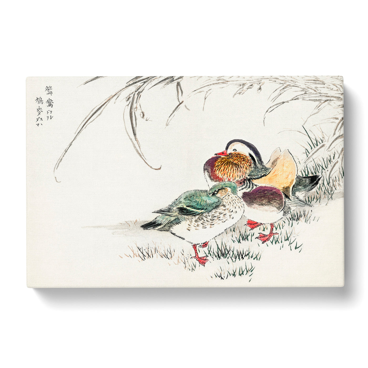Mandarin Duck By Numata Kashu Canvas Print Main Image