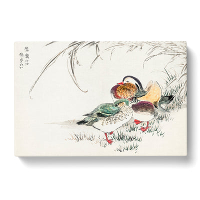 Mandarin Duck By Numata Kashu Canvas Print Main Image