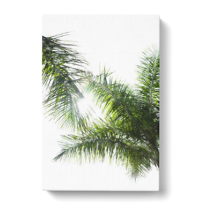 Maspalomas Palm Tree Fronds Painting Canvas Print Main Image