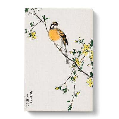 Meadow Bunting Bird & Yellow Flowers By Numata Kashu Canvas Print Main Image