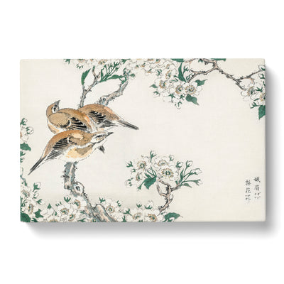 Meadow Bunting Birds & Pear Flowers By Numata Kashu Canvas Print Main Image