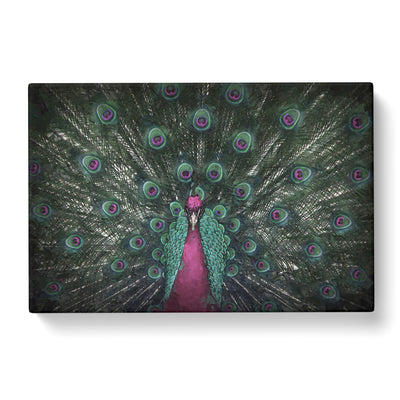Mesmorising Pink & Green Peacock Canvas Print Main Image