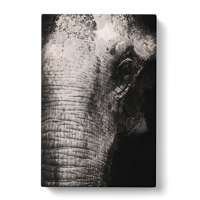 Mighty Elephant In The Shadows Canvas Print Main Image