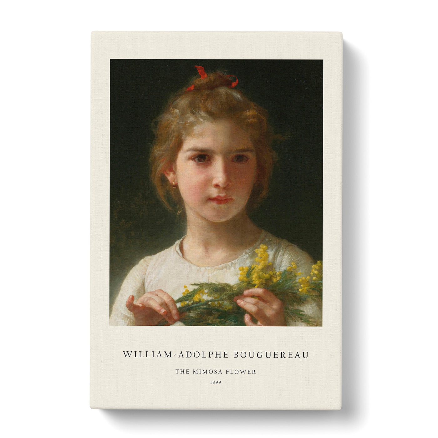 Mimosa Flower Girl Print By William-Adolphe Bouguereau Canvas Print Main Image