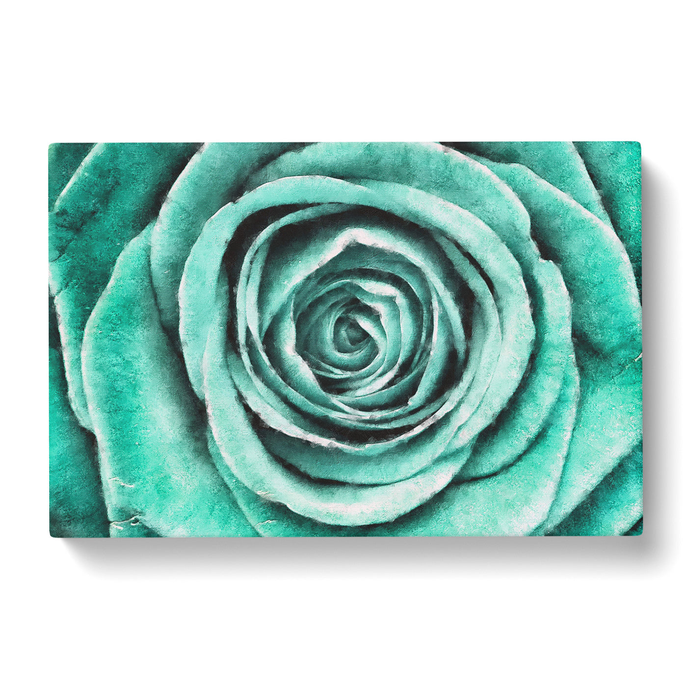 Mint Green Rose Painting Canvas Print Main Image