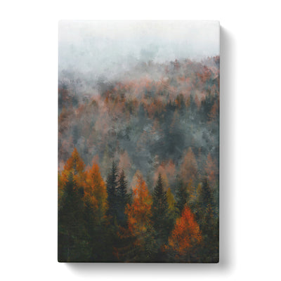 Misty Forest In The Autumn Painting Canvas Print Main Image
