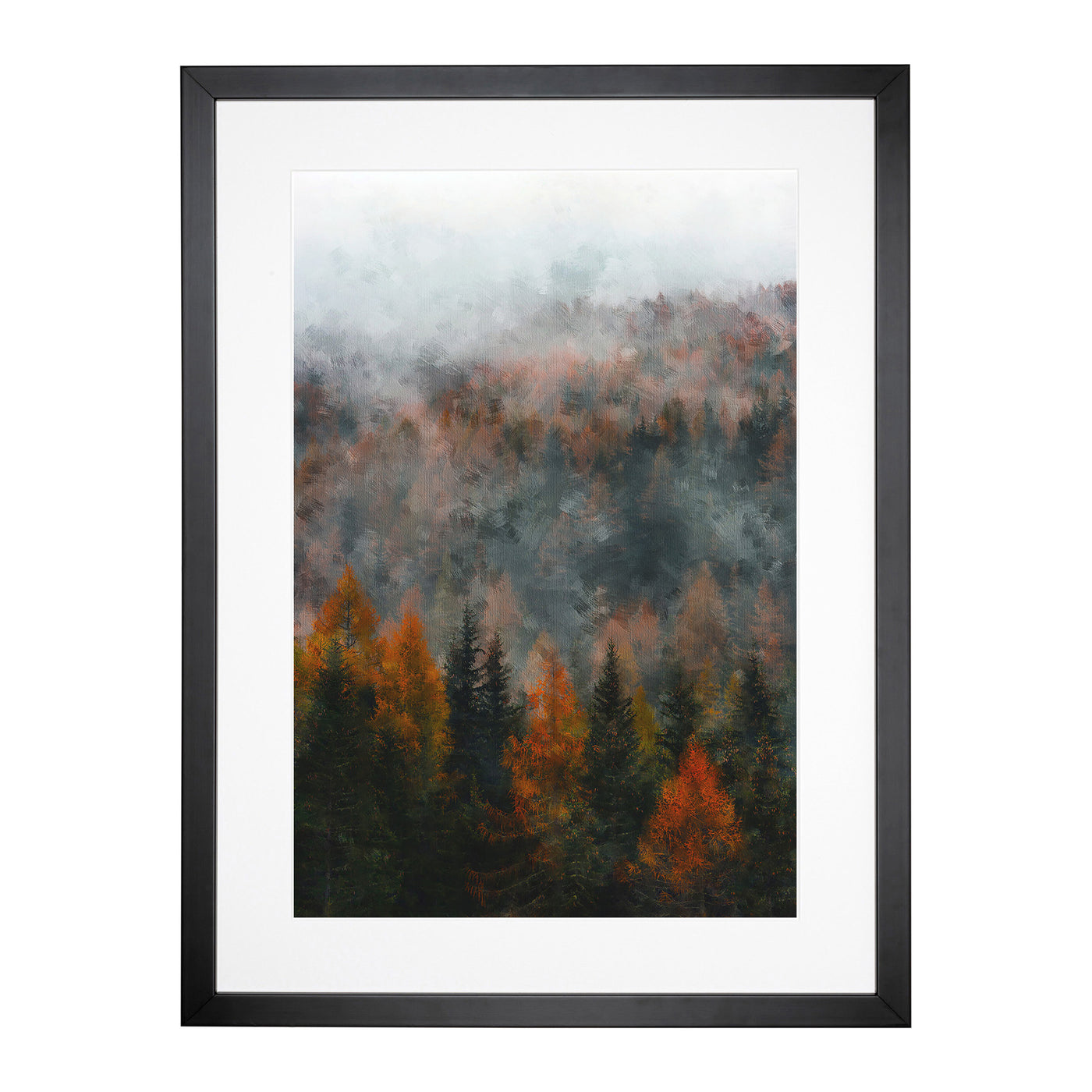 Misty Forest In The Autumn