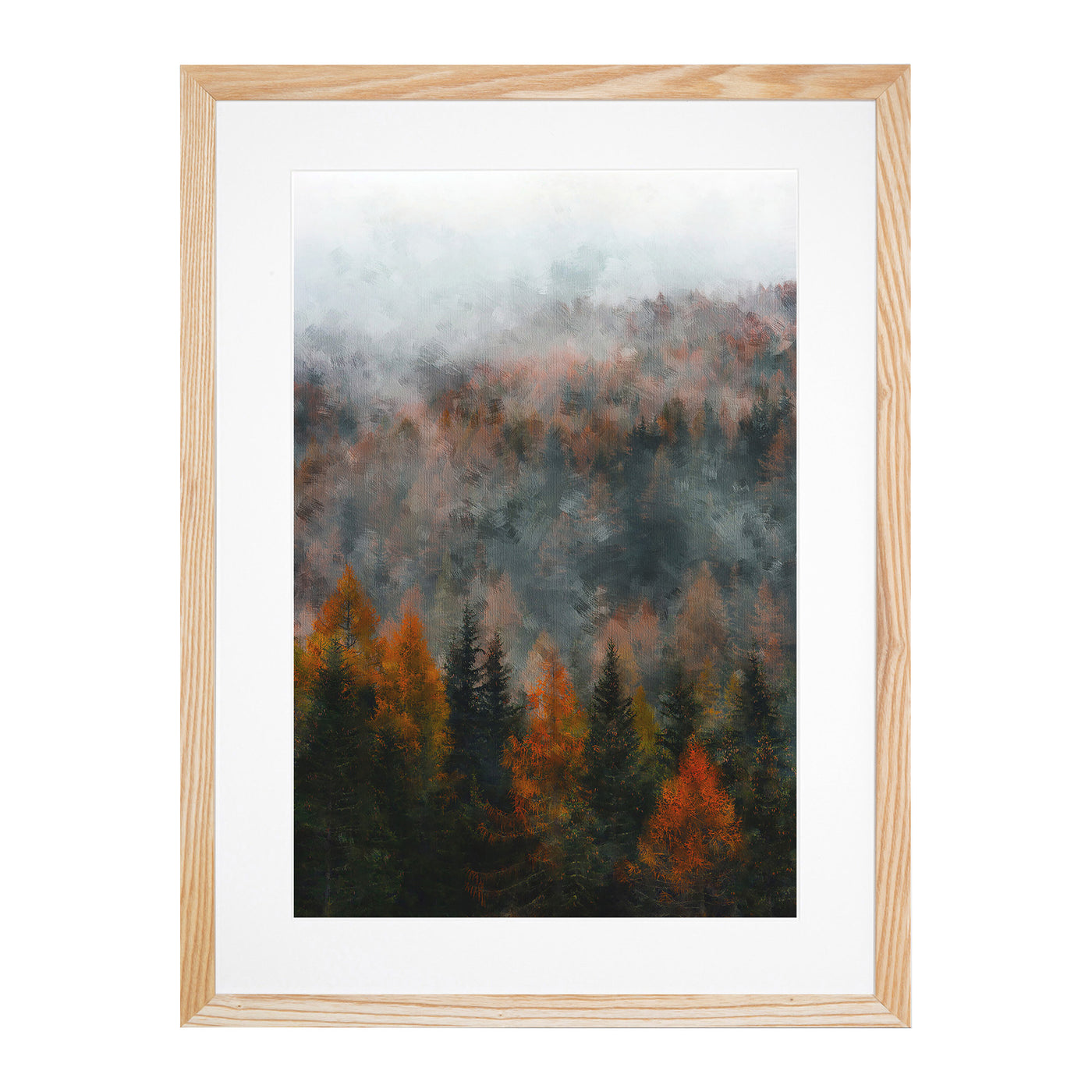 Misty Forest In The Autumn