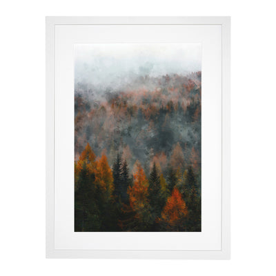 Misty Forest In The Autumn