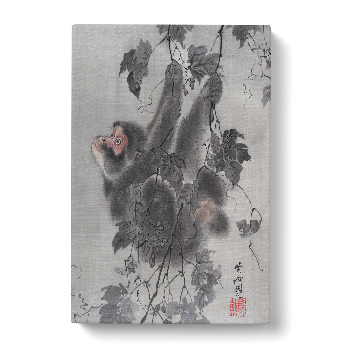 Monkey Hanging From A Tree By Kawanabe Kyosai Canvas Print Main Image