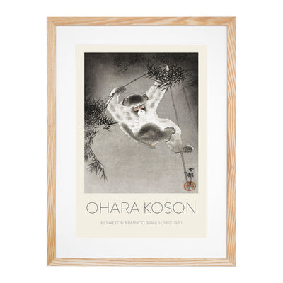 Monkey On A Bamboo Branch Print By Ohara Koson