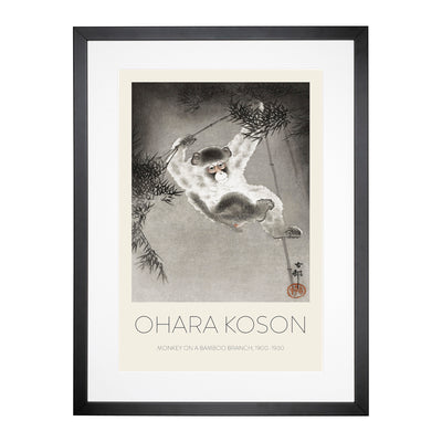 Monkey On A Bamboo Branch Print By Ohara Koson Framed Print Main Image