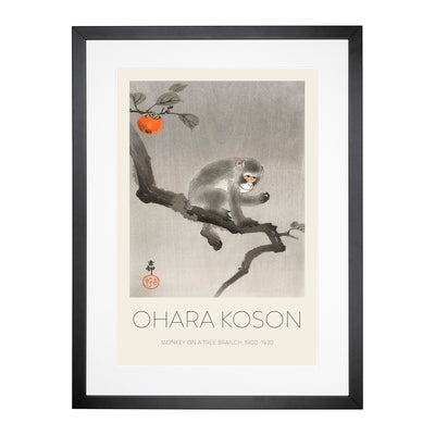 Monkey Upon An Orange Tree Print By Ohara Koson Framed Print Main Image