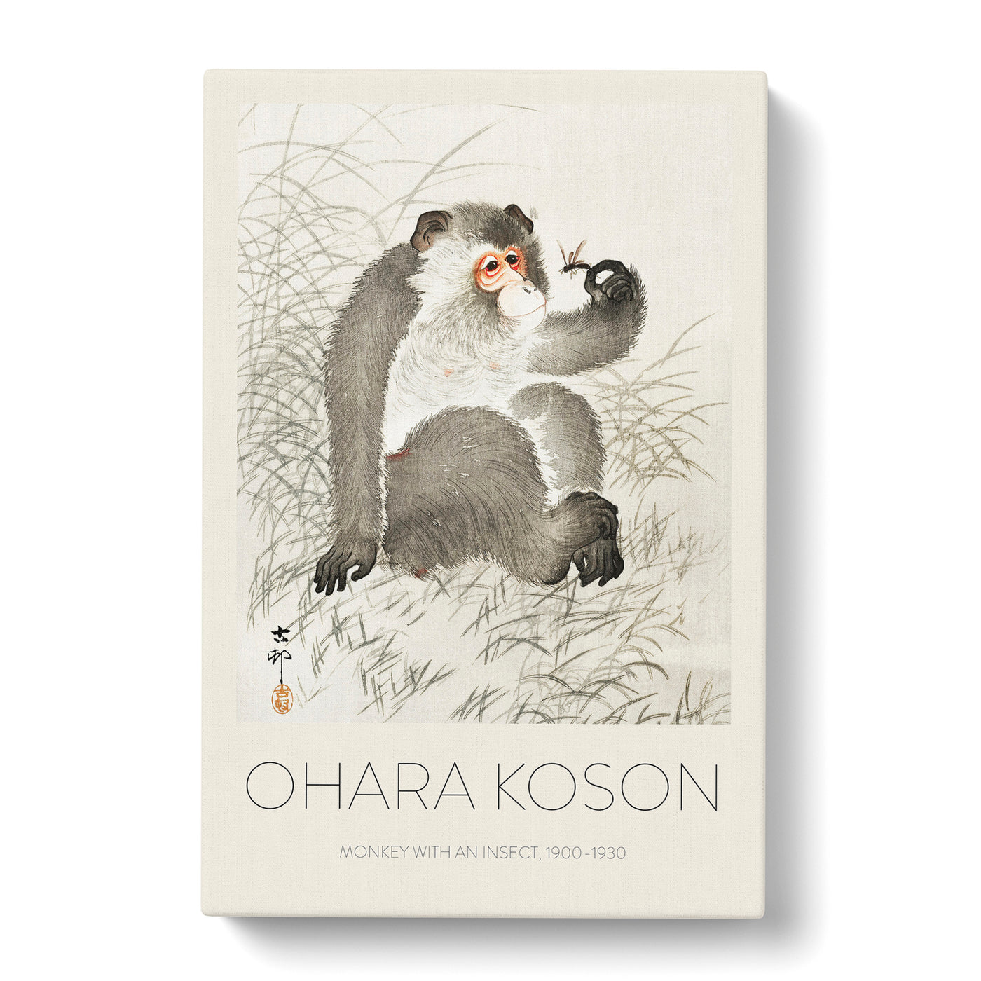 Monkey With An Insect Print By Ohara Koson Canvas Print Main Image