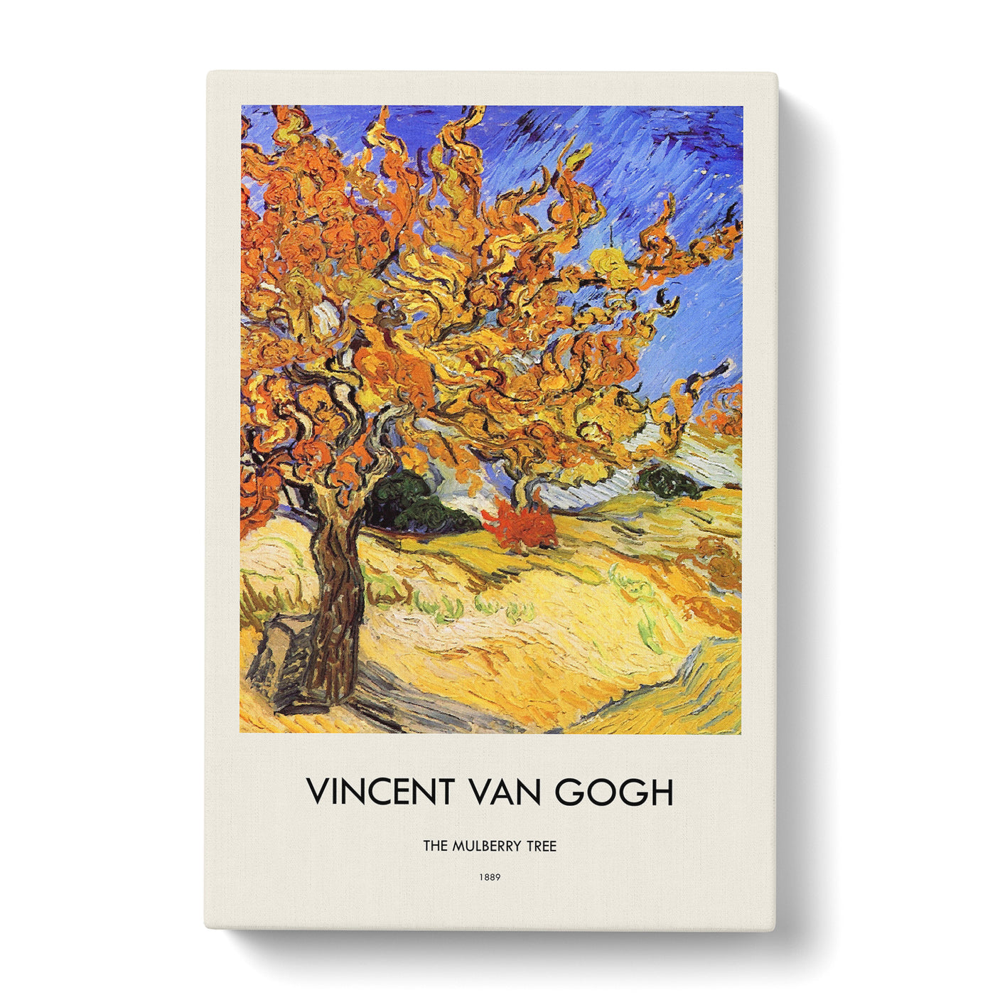 Mulberry Tree Print By Vincent Van Gogh Canvas Print Main Image