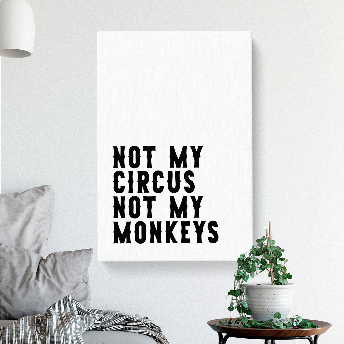 Not My Circus Not My Monkeys