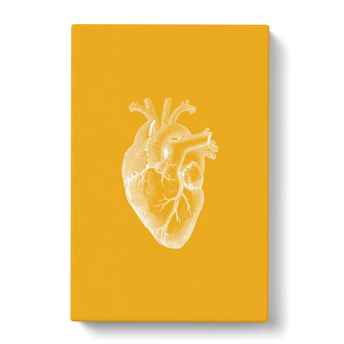 Orange Anatomical Heart Canvas Print Main Image