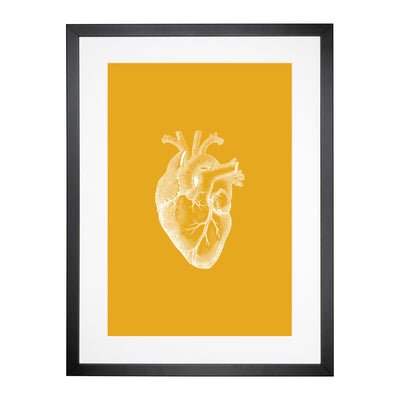 Orange Anatomical Heart Framed Print Main Image