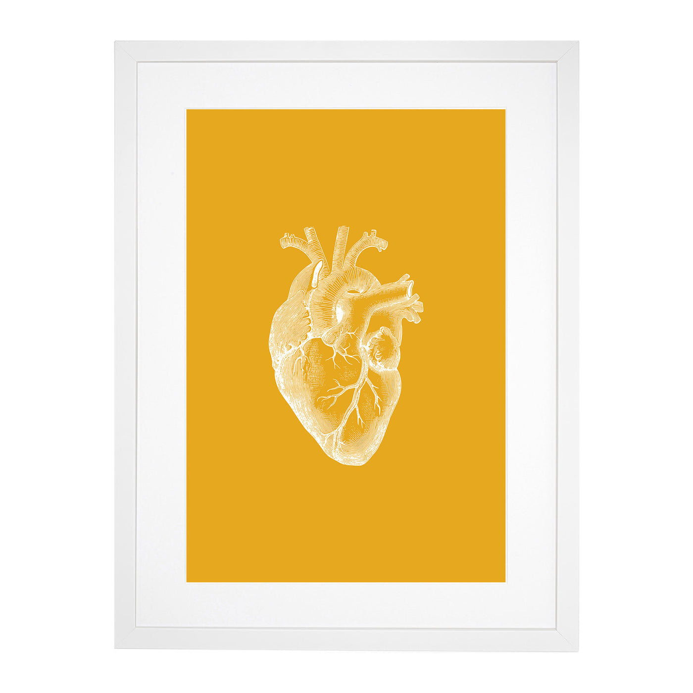 Orange Anatomical Heart