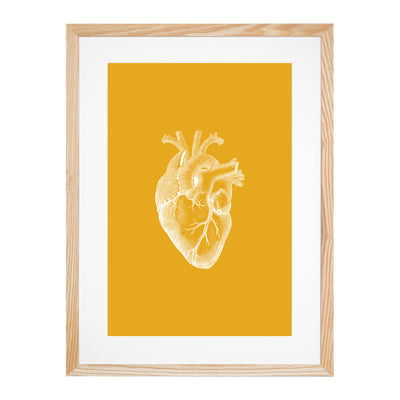 Orange Anatomical Heart