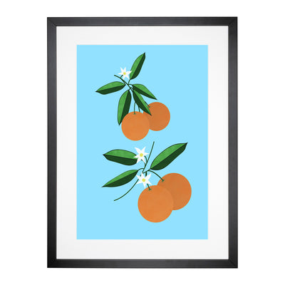 Orange Blossom Blue Framed Print Main Image