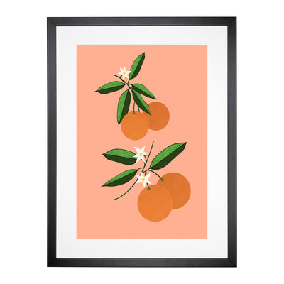 Orange Blossom Framed Print Main Image