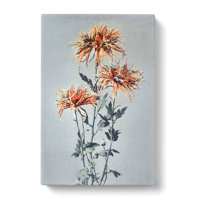 Orange Chrysanthemum Flowers By Ogawa Kazumasa Canvas Print Main Image
