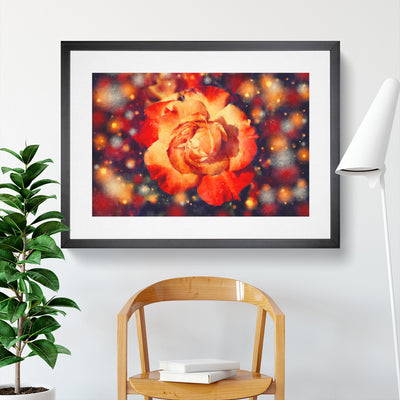 Orange Rose Flower