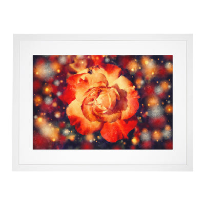 Orange Rose Flower