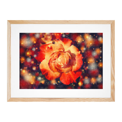 Orange Rose Flower