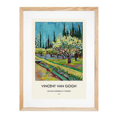 Orchard Bordered By Cypresses Print By Vincent Van Gogh