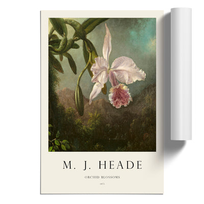 Orchid Blossoms Print By Martin Johnson Heade