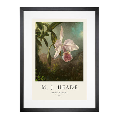 Orchid Blossoms Print By Martin Johnson Heade Framed Print Main Image