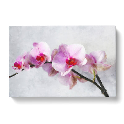Orchid Flowers Vol.5 Paintingcan Canvas Print Main Image