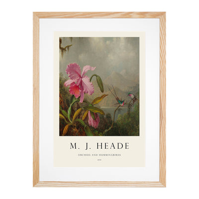 Orchid With Hummingbirds Vol.1 Print By Martin Johnson Heade