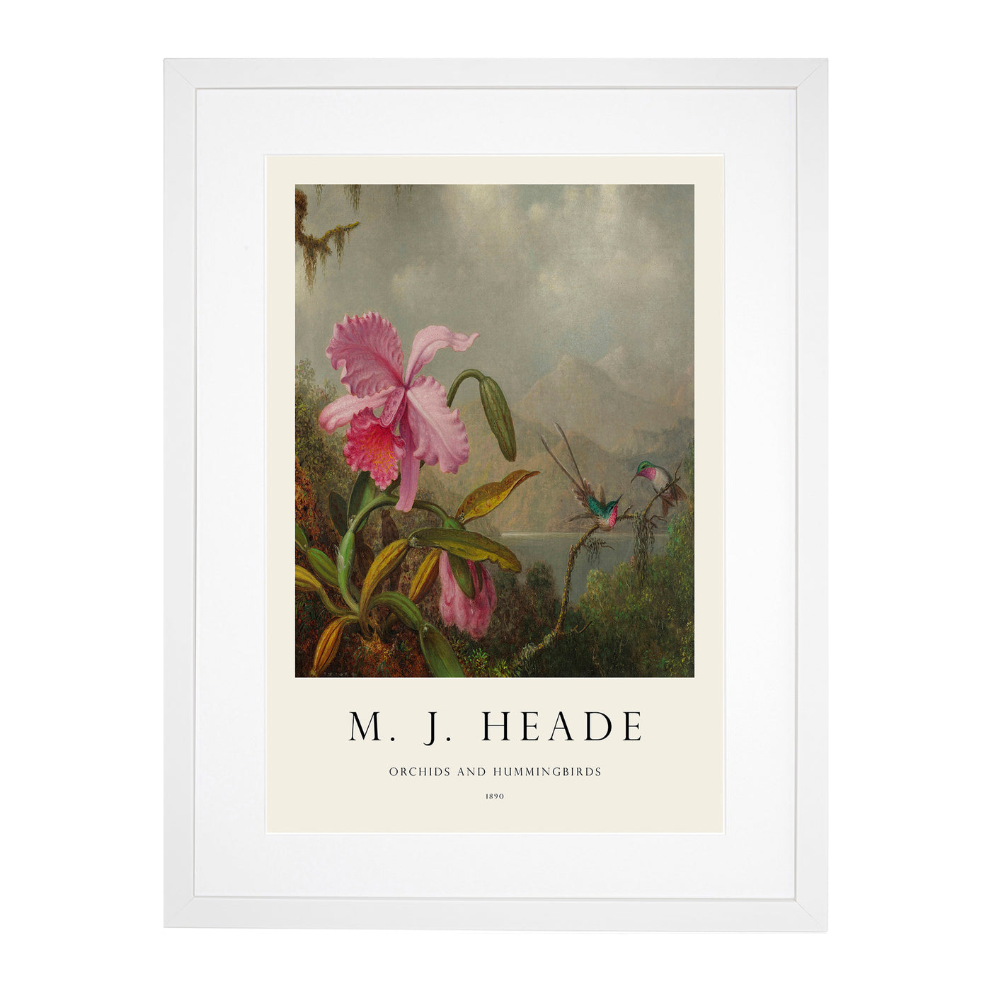 Orchid With Hummingbirds Vol.1 Print By Martin Johnson Heade